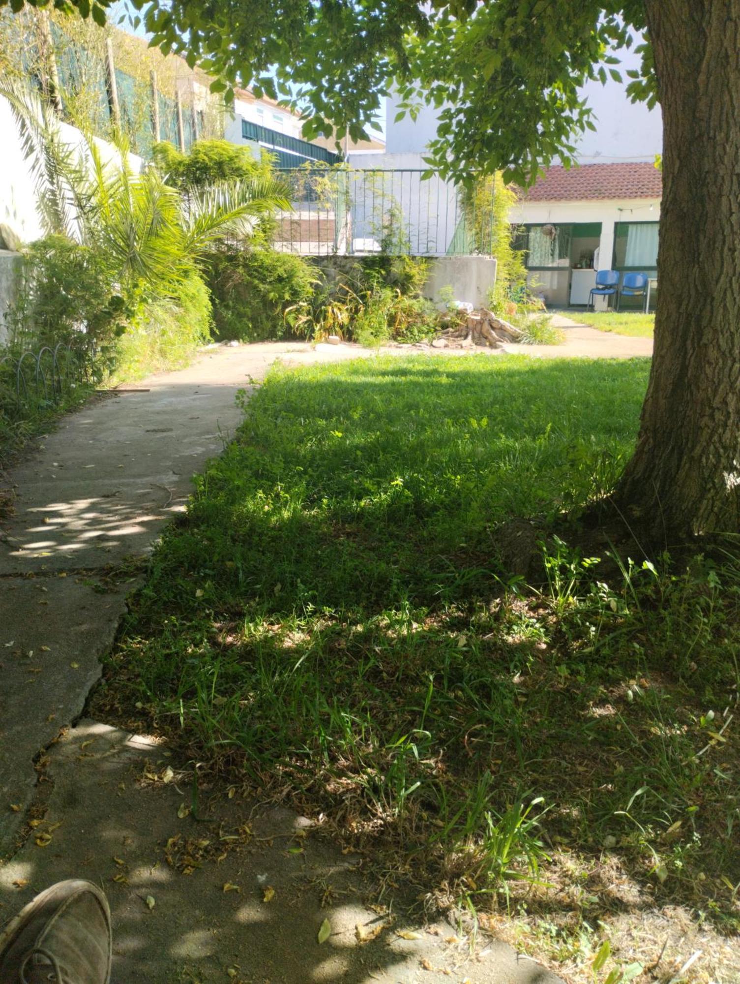 קורויוס Alojamento Local, Cantinho Verde מראה חיצוני תמונה
